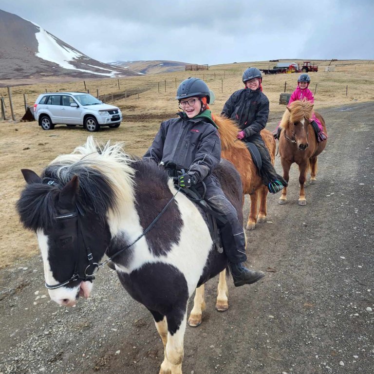 038f9b07-c323-417a-ae28-c4390129ad0b