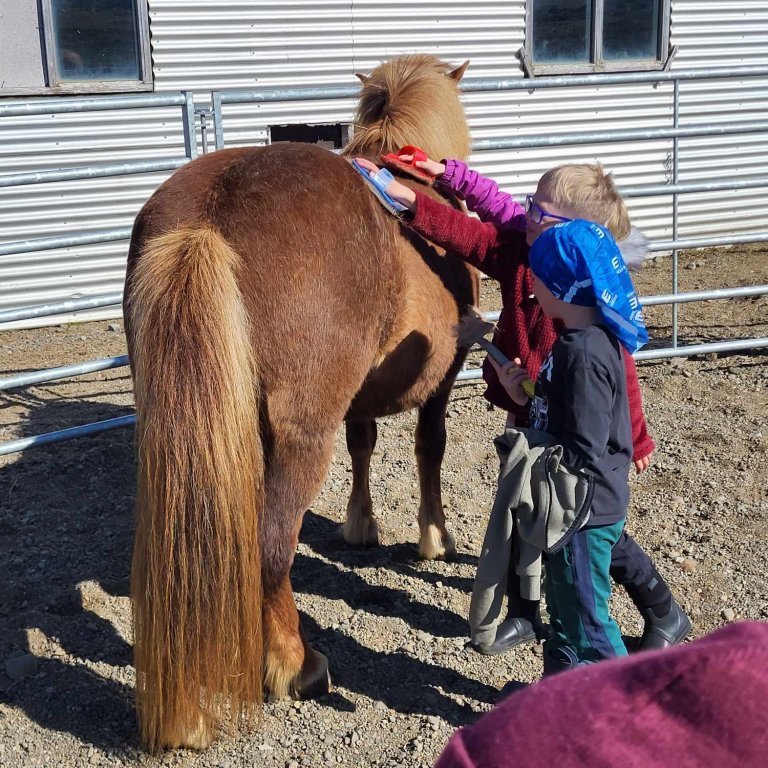 06f84393-6d0d-4fb4-bfbe-3c7671233e73