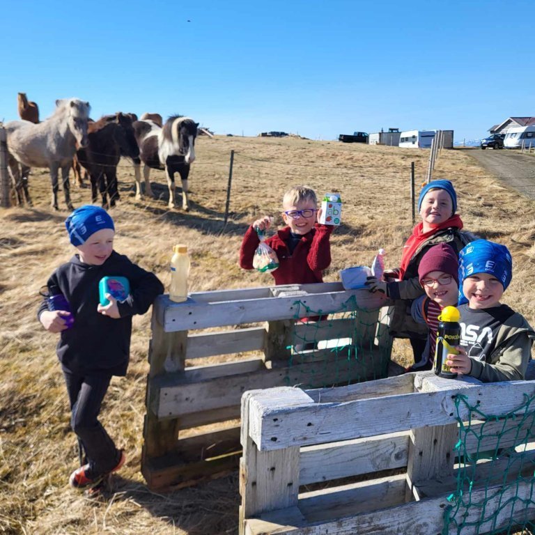 0d6d161f-962e-4999-ad46-71bba42c6f08