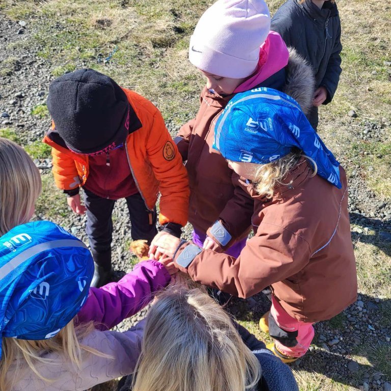 14b63f81-dd12-429d-8af8-c72e96d4af25