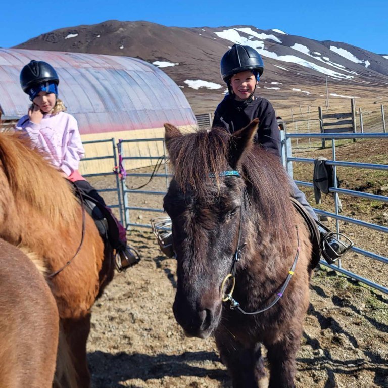 17a3be08-baf2-4927-bed8-c4150250cad2