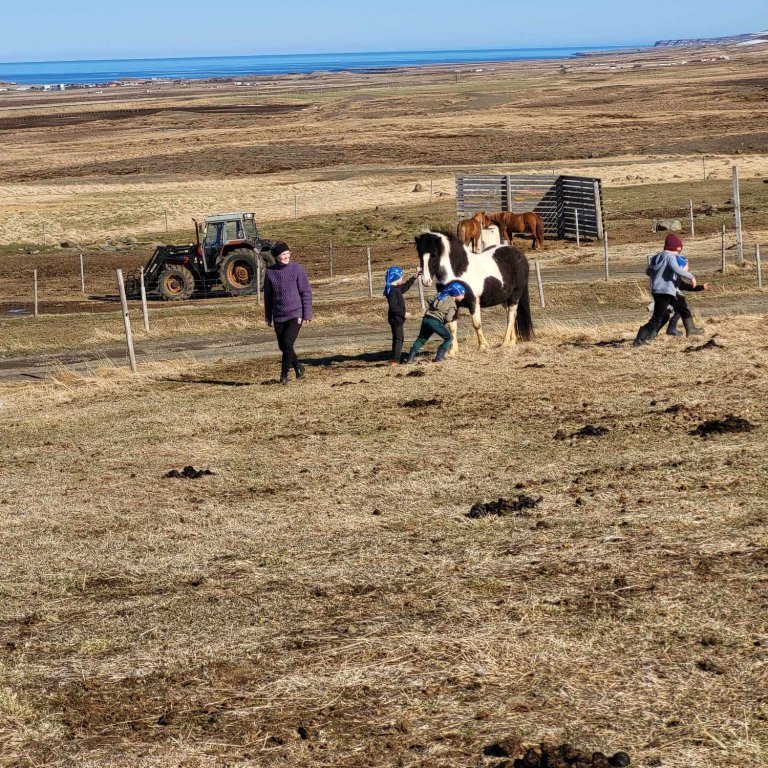 30c913e5-49af-4e0c-acd5-c29bd4e84a6d