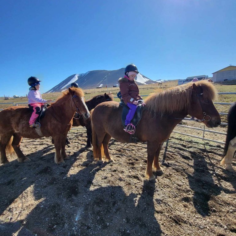 3645365c-d45f-4e93-a252-02e3659f8a67