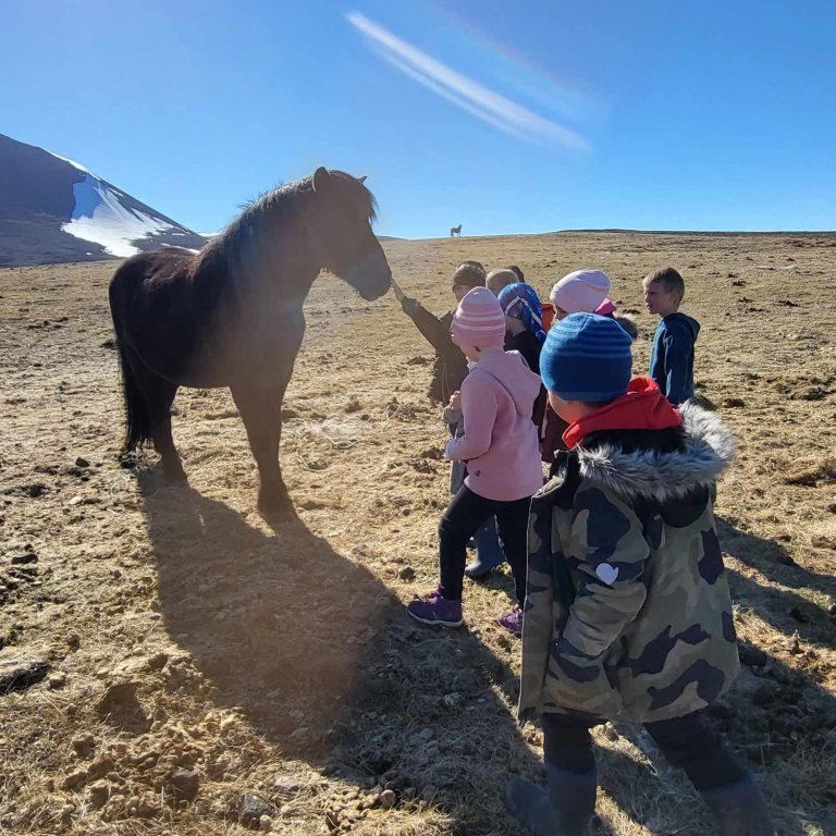 3b0c0817-8dde-4977-a667-23efef42489b