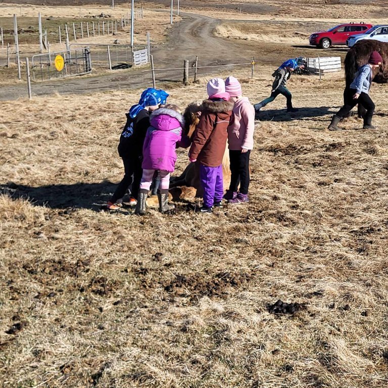 46794125-8f2d-4b8c-9a2c-6a0de38074a7