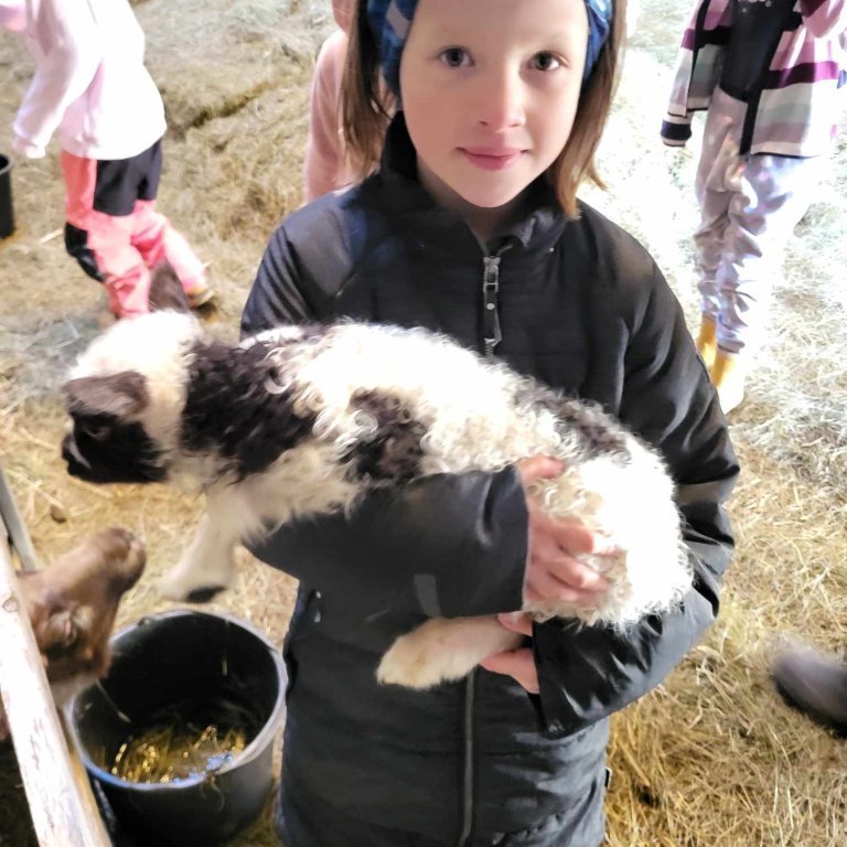 47a8d9c9-1c70-4053-969a-fba1a323464d