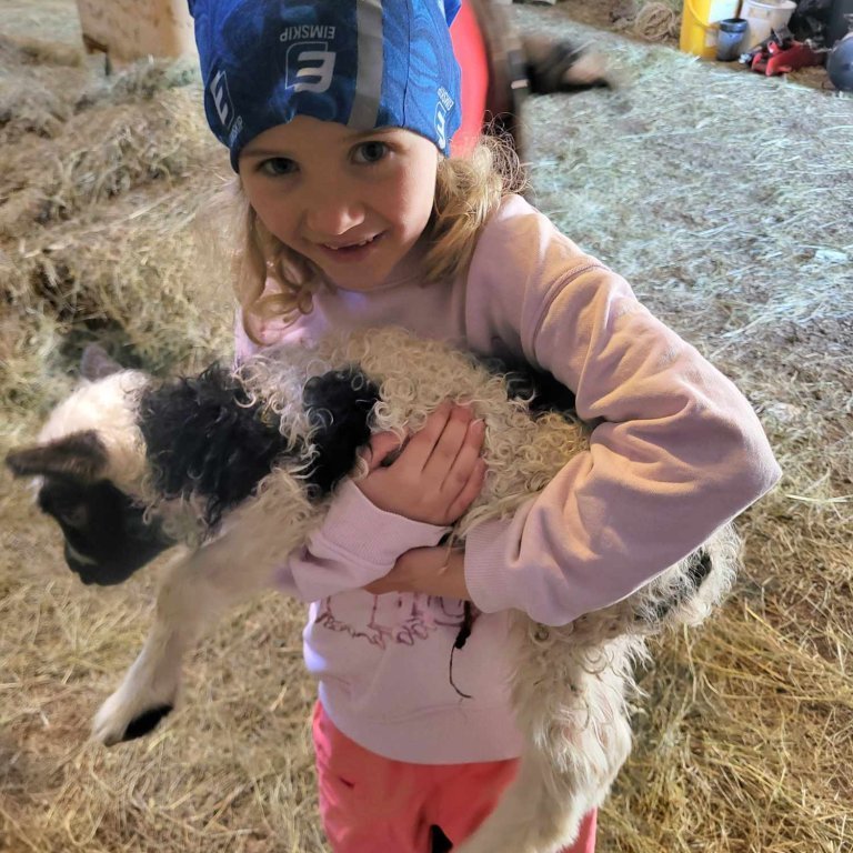 49bd3cc6-1466-4c5b-abc7-755f632cd7a1