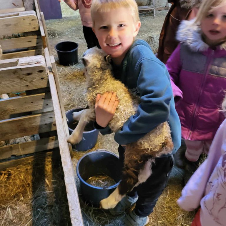 4de454c3-f5ba-4512-beb4-6e8bcf54d5d5