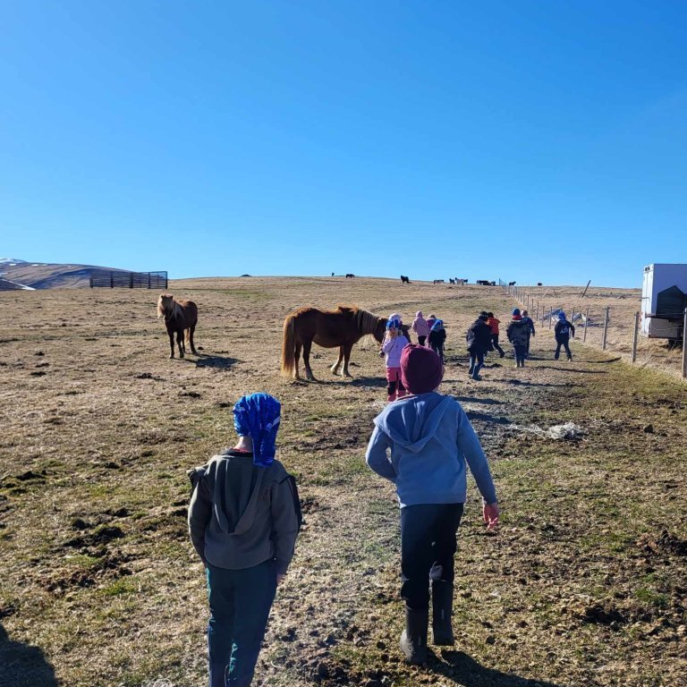 4e32d472-7a93-4e6a-b54f-db9cf9e67092