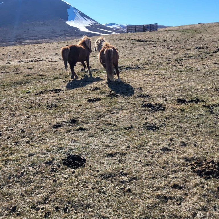 4eac8897-c59e-4544-a489-f3f92dd0bb4a