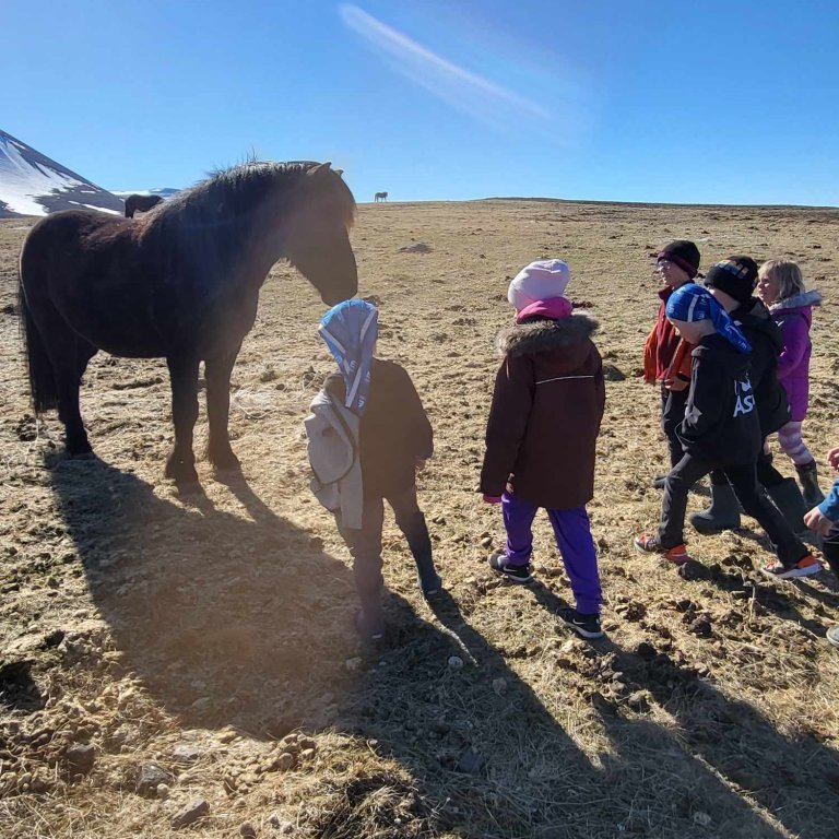 561f971a-0e0a-4504-934c-206544d2b8d2