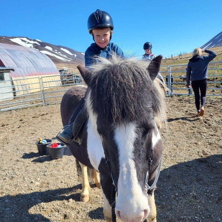 59481800-b8c1-4e03-b6e0-f5d000933e1d