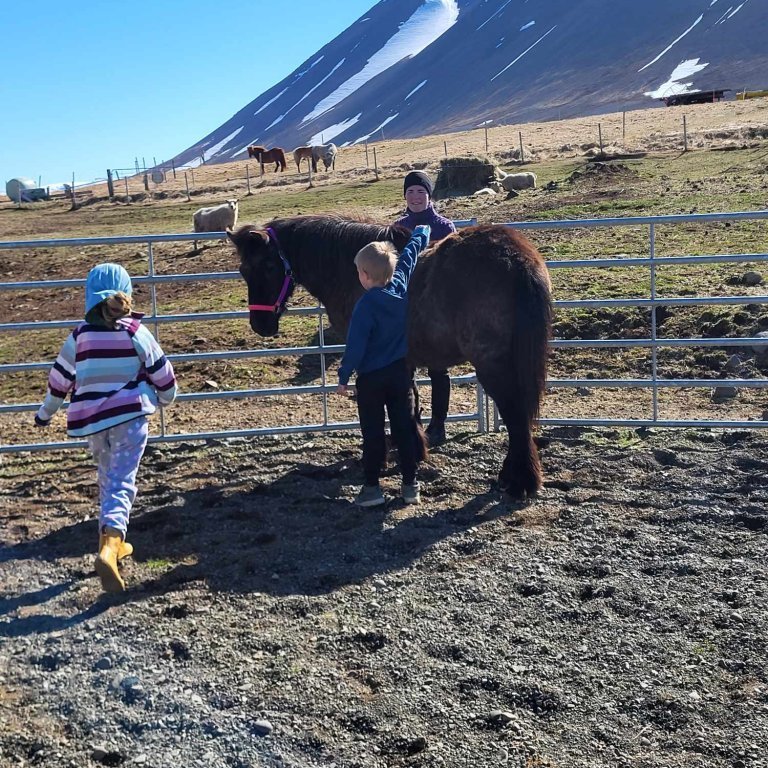 5eb19cf6-33c6-408f-978c-36663eca4818