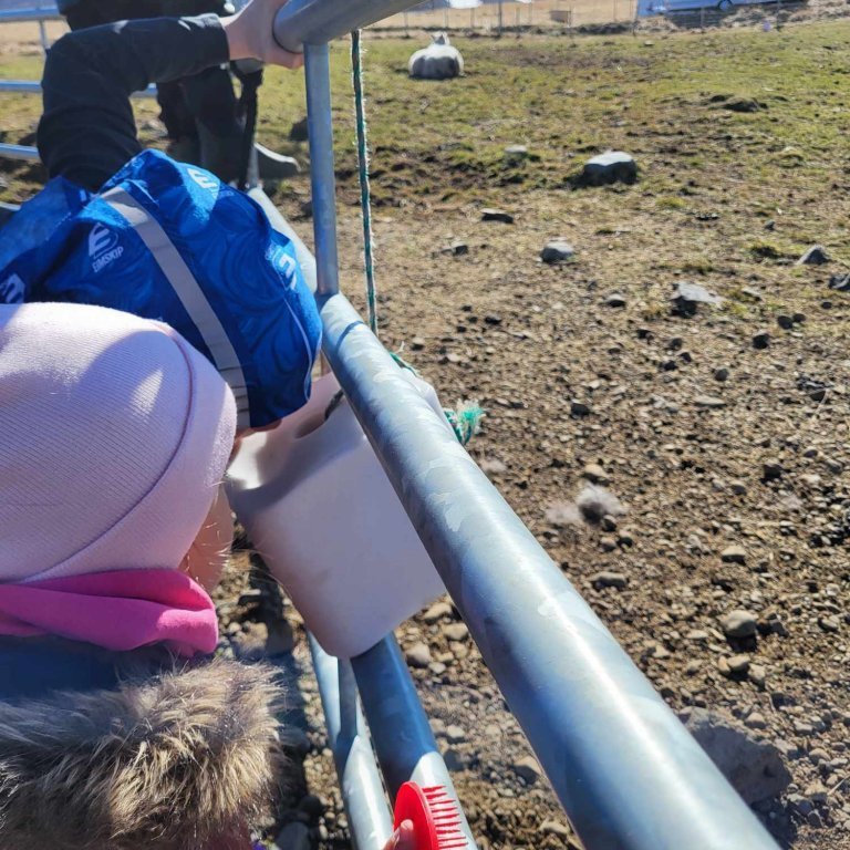 6ef39fac-e565-4c4a-ac20-edee552a0932