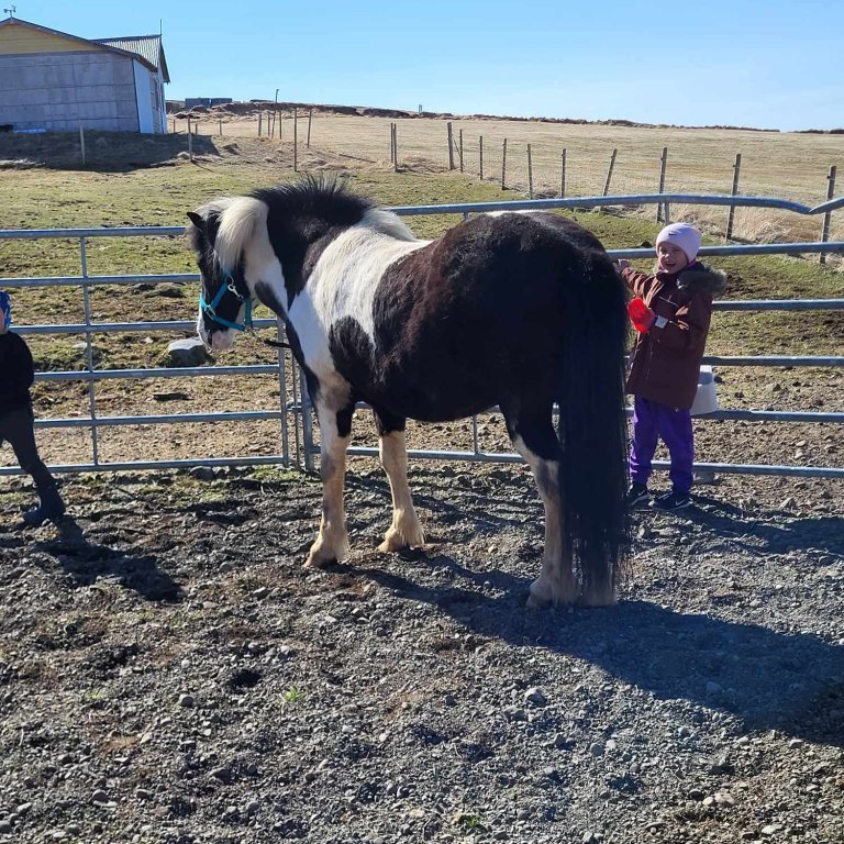 70e60f53-36e6-4e5e-aa81-99cf9bcd1784