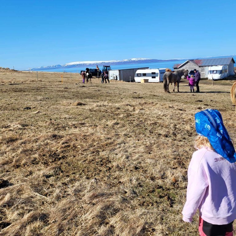 72ac6d01-a661-4d64-89f0-238cb78a5c45