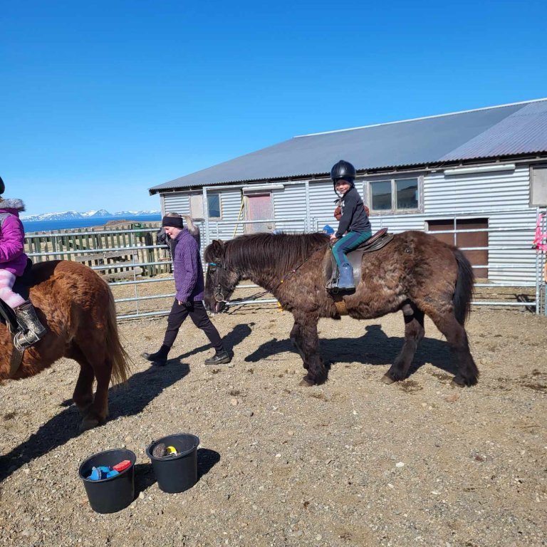 7869da23-b1fb-4fb2-8074-df753be6712e