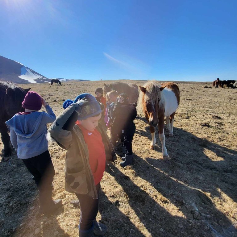 7c028124-1805-4d25-a997-93ecc92cedc8