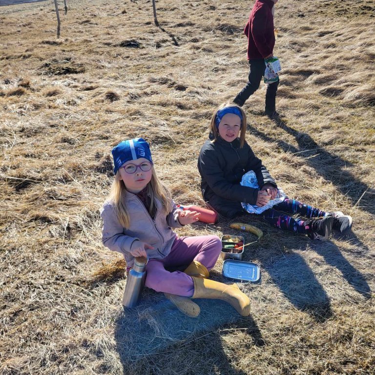 82f8be31-b6fb-499e-81ac-925cc77ace6d-1