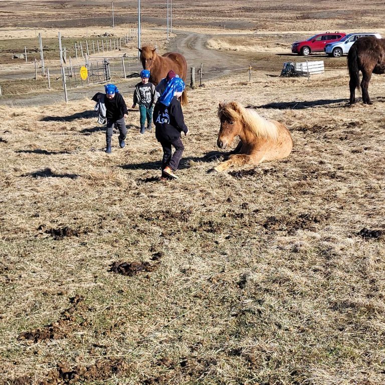 883da0d8-5fa7-4d97-aa7f-f1daa3646006