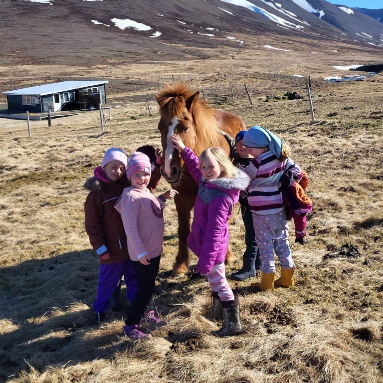 94e6395f-f6a0-4416-bccb-3913676056ff