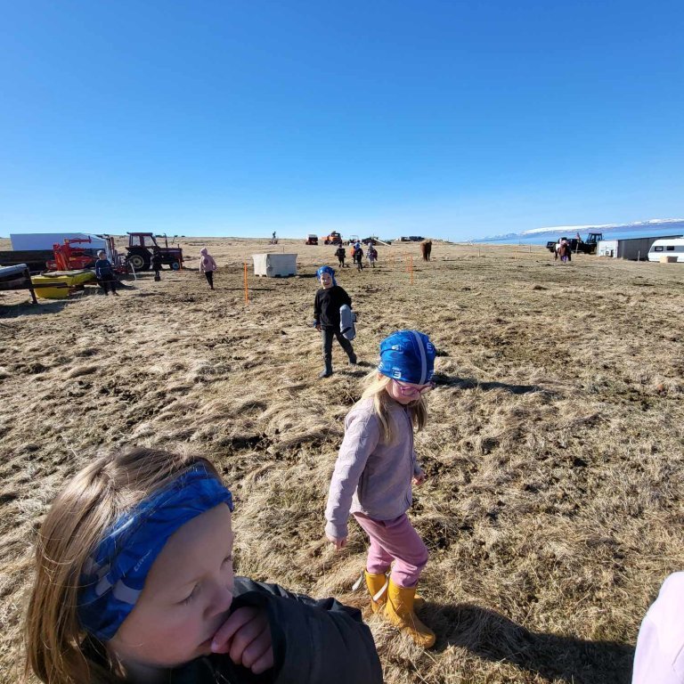 9619685b-c0e1-487f-a764-7bc5e0b43417