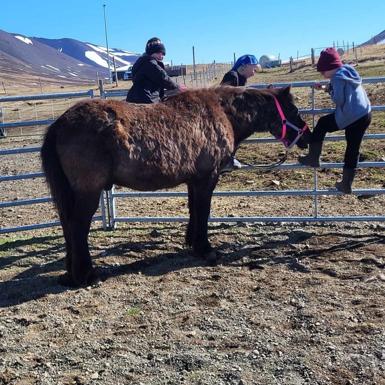 a5224b5d-43a1-4892-b092-cc4bd8897568