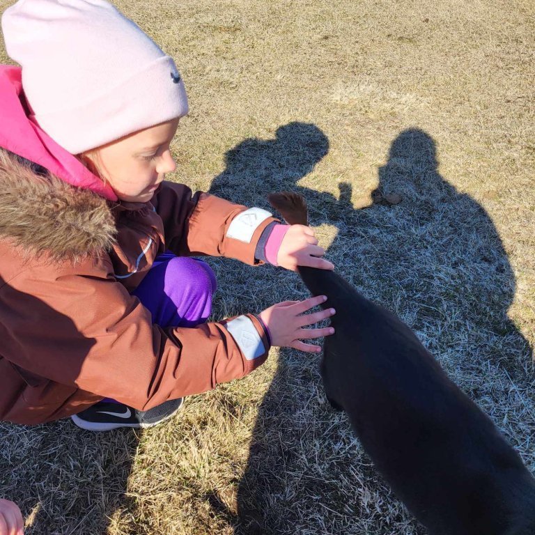 a7d1e59d-c2b7-4991-aeb8-ef28903c02a4