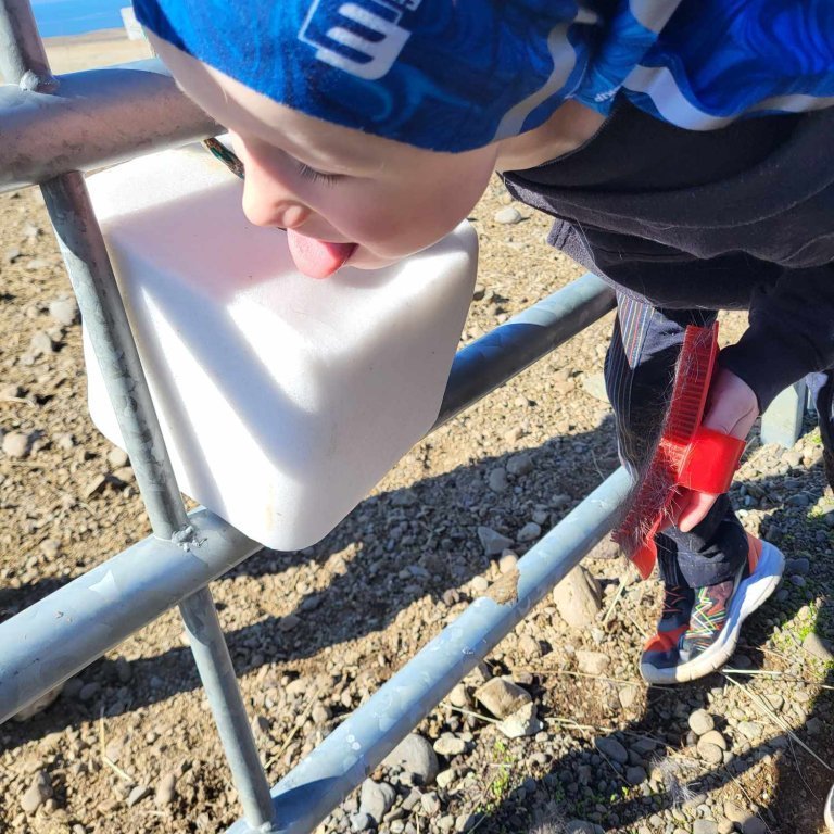 bf225636-c3d4-4bcd-8d1c-276cd24a370e