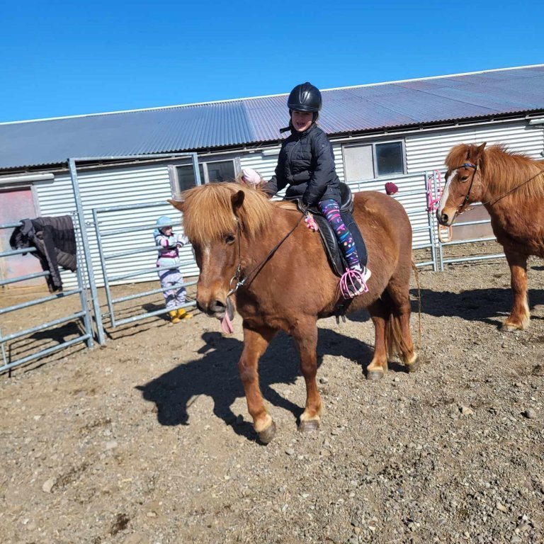 ce50f133-05ba-47dd-9a5b-93e6bb9a0d8d