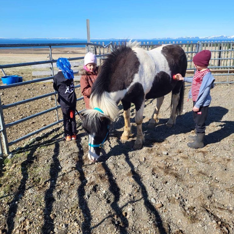 d7a8030c-5a3b-4f9f-8846-503f828db15d