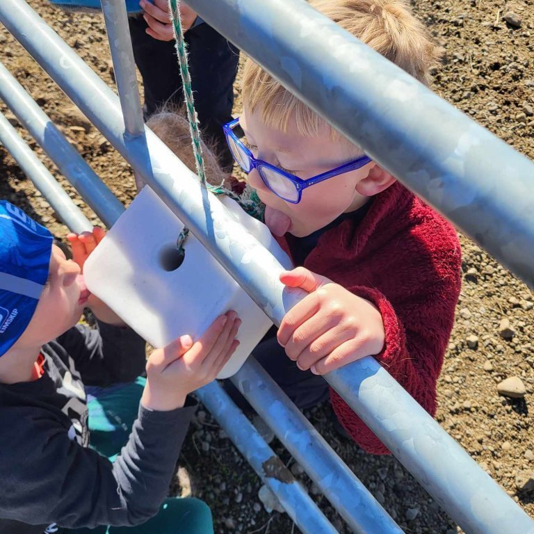 e24b1fc1-ff3f-49a6-97c2-7a04e539143b