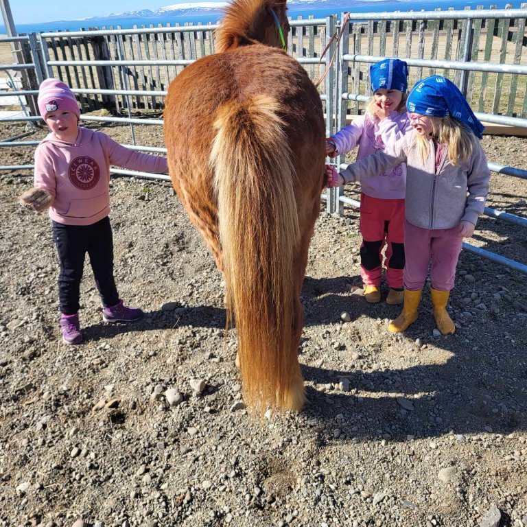 f81de2bc-5245-48e6-81aa-19beda434fa6