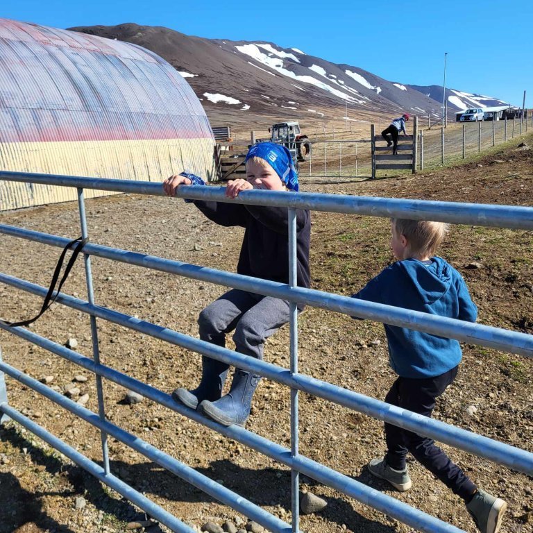 fd2361b4-d79e-45ae-b1a8-6dfe3274259f