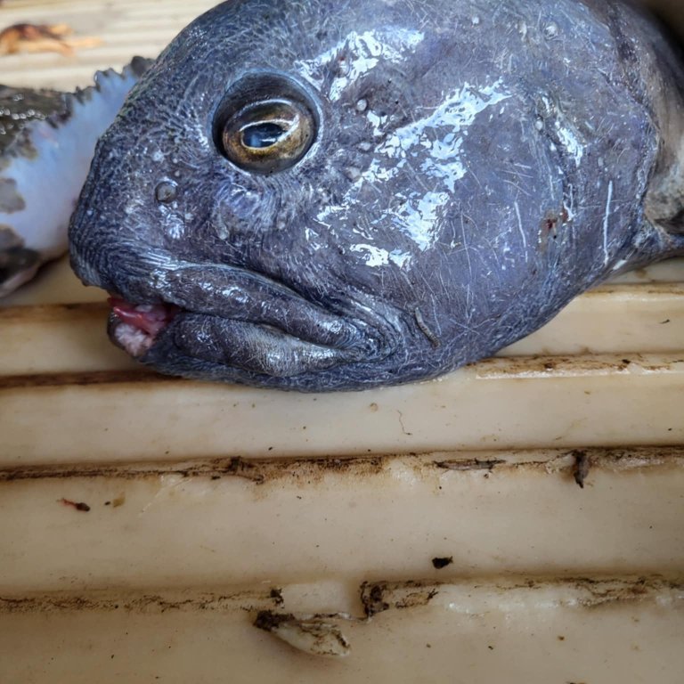 6b22d6fc-922f-4285-a3f5-5e4e25e2fd52