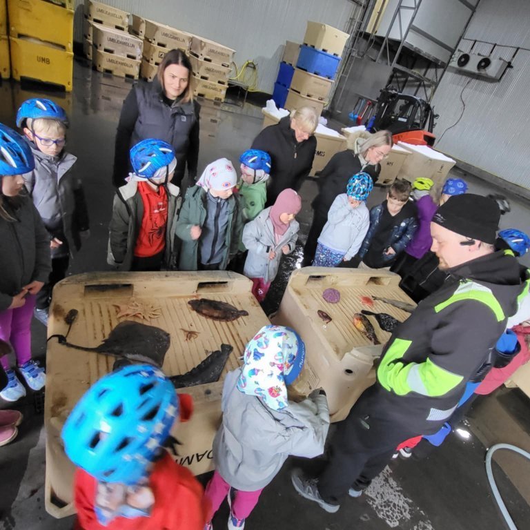 a540c37b-39ef-4340-9e65-fef9e3f3a774