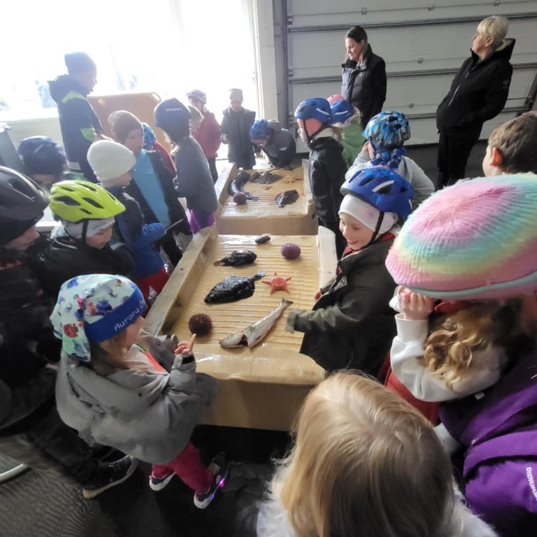 e42a98b2-07a5-4fa8-90d6-9f23cf4cae8e