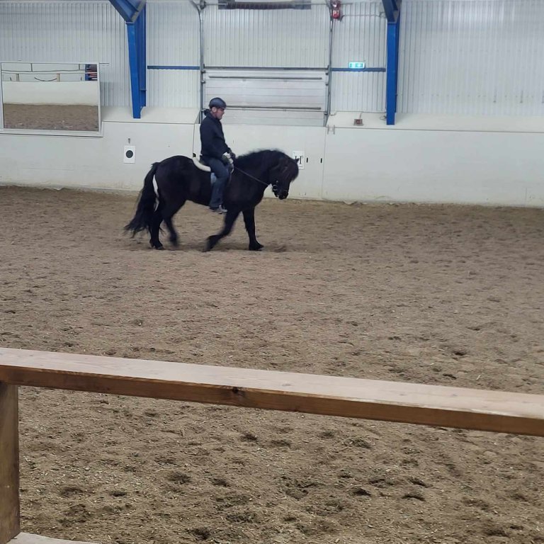 377149955_1503973523658498_726104811002914058_n