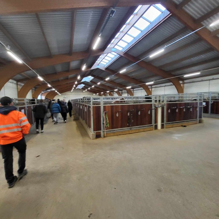 386471258_358093873261879_8988461479129293689_n