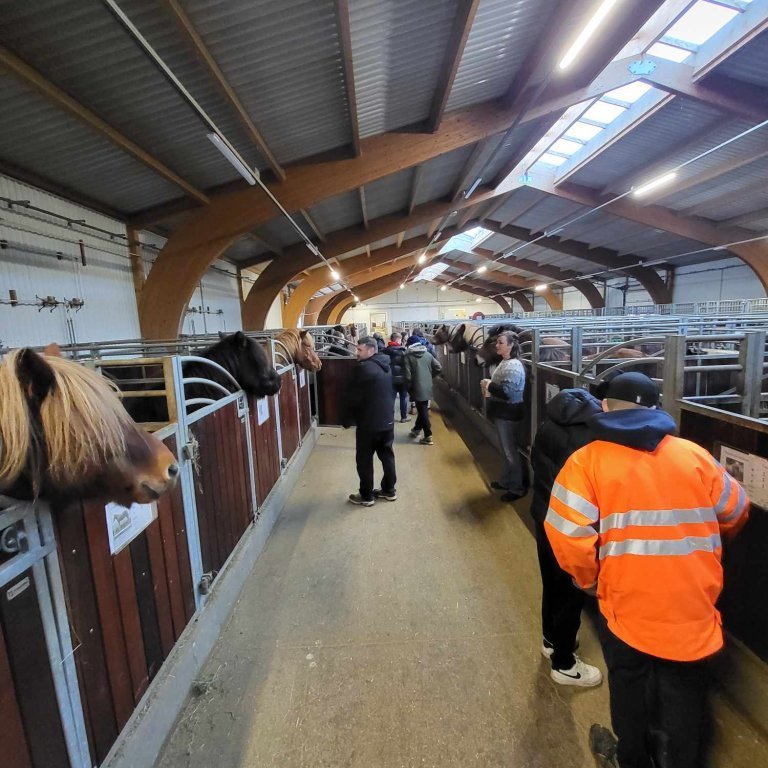 386773104_338485838829821_7977142941670778585_n