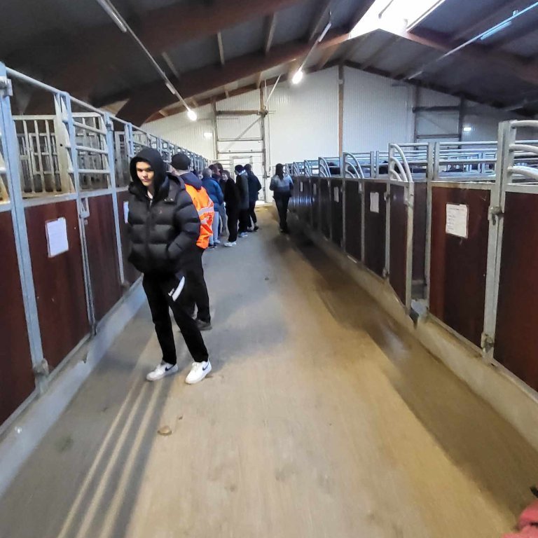 386875251_876238550428694_4038161125510684394_n