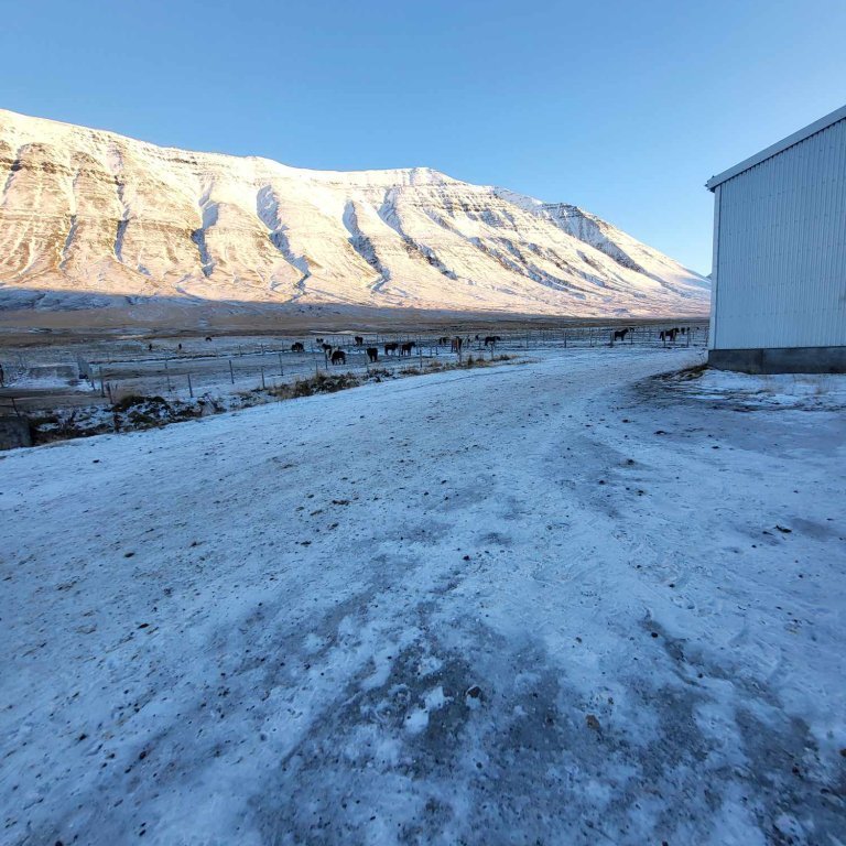 386887665_715130463486868_7331667564331961289_n