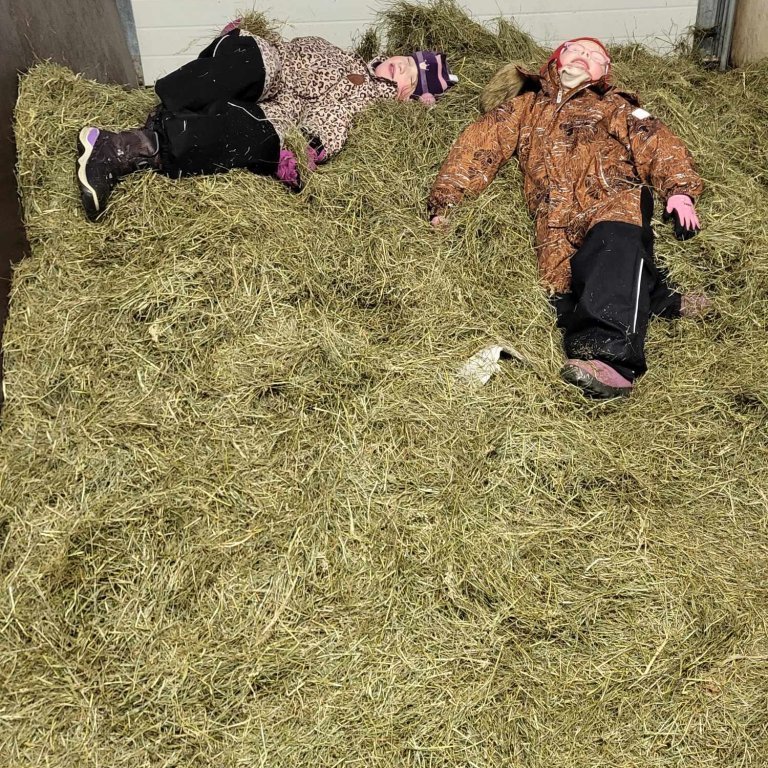 410743071_379975491180828_3882666012120577474_n