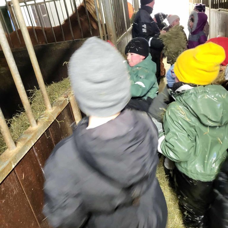 413120465_731024295362018_4001866054958473169_n