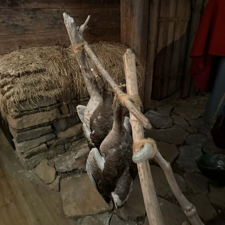 0cf0a37a-9e8e-4ddf-812c-130c1677f8e4