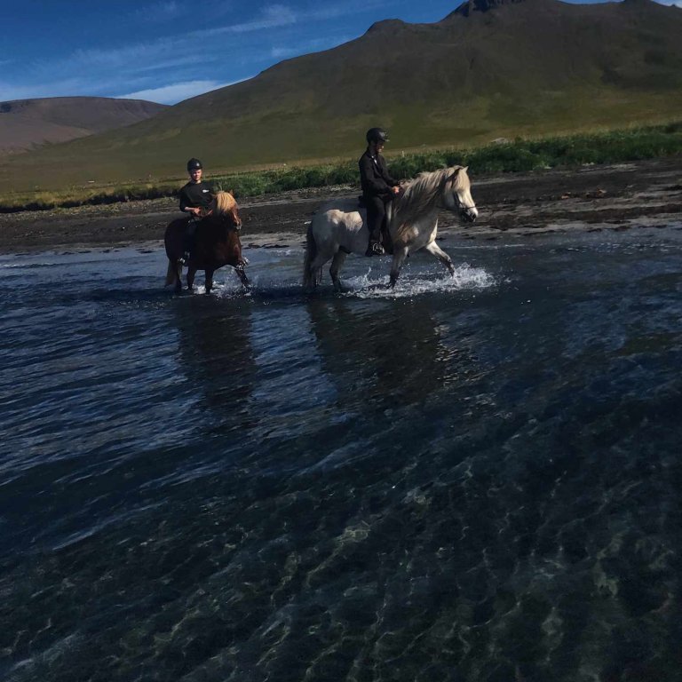 368514962_203165552776233_968588356550379918_n