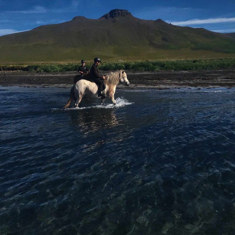 368518962_663822115427369_8684578672560587186_n