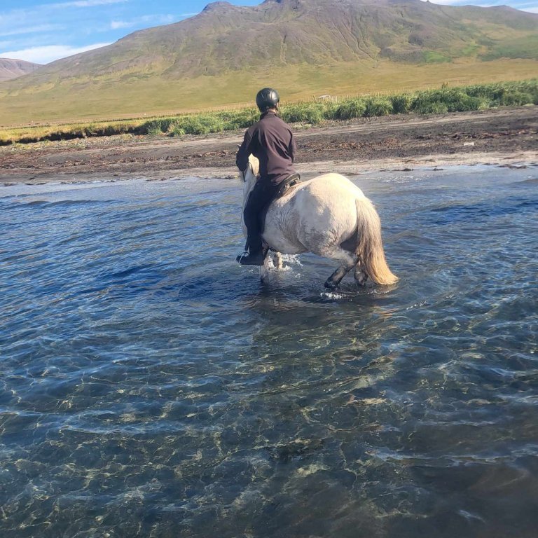 371464804_769382151652564_7244532678548425584_n