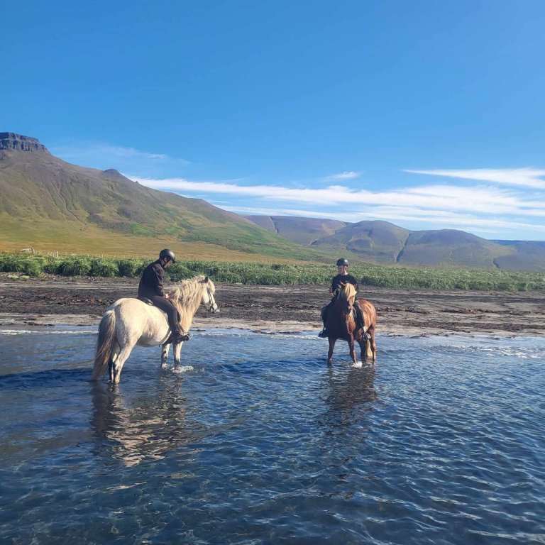 371514889_307138285184816_4964864113191442442_n