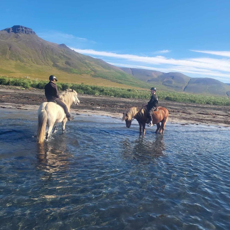 371541688_9839260689481512_6907473619207709175_n